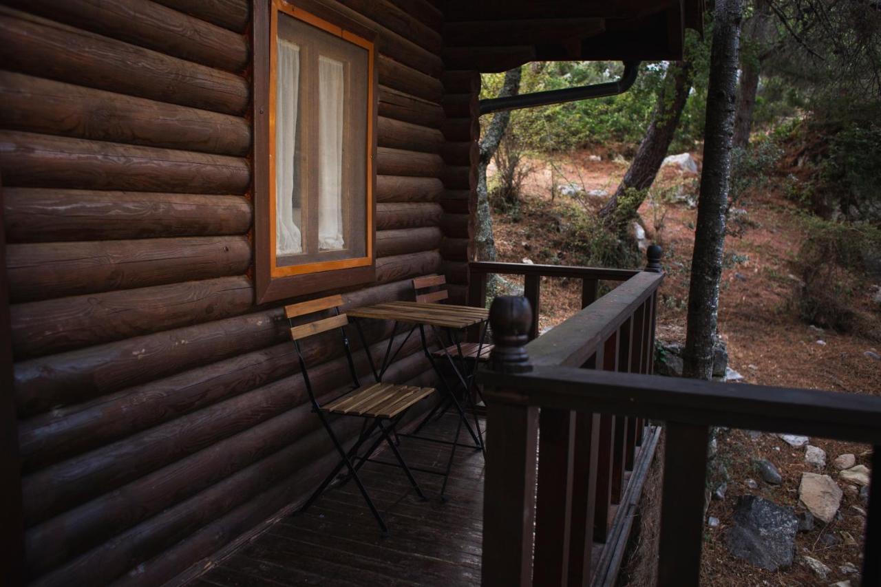 Camping Tajorodillo Grazalema Exterior foto